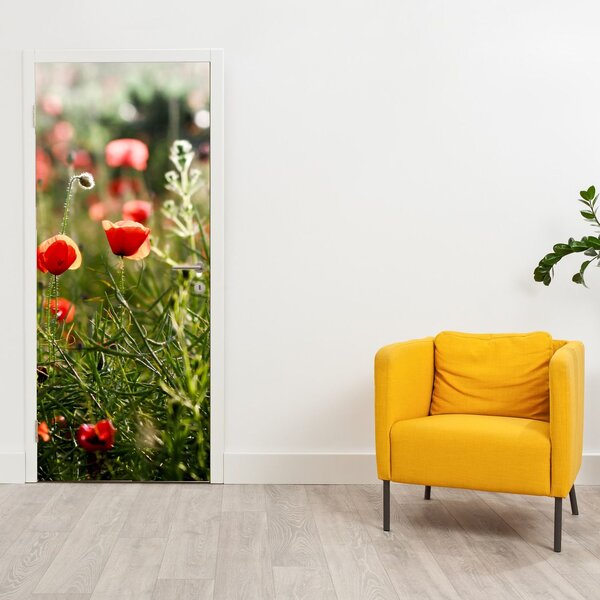 Fototapeta na dveře - Vlčí máky (95x205cm)