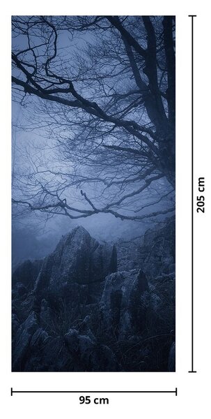 Fototapeta na dveře - Temný les (95x205cm)