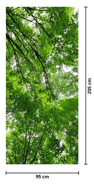Fototapeta na dveře - Pohled do korun stromů (95x205cm)