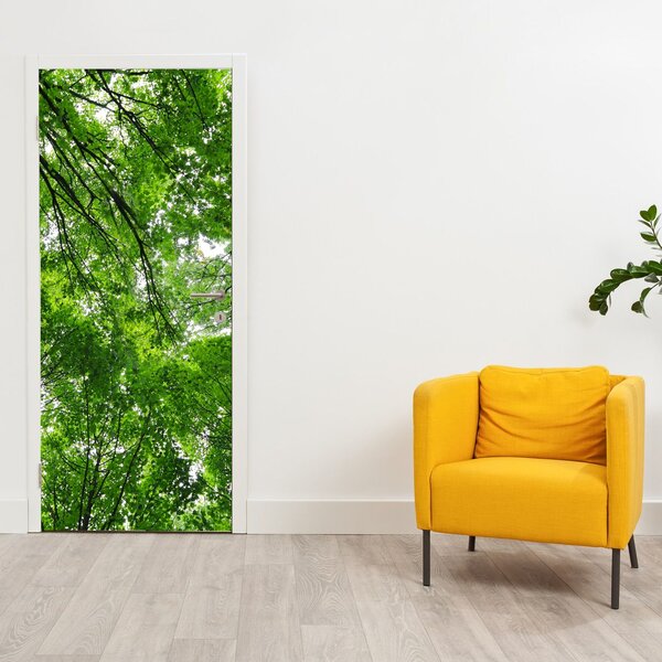 Fototapeta na dveře - Pohled do korun stromů (95x205cm)