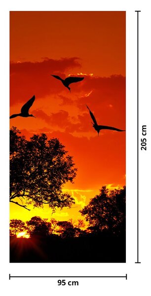 Fototapeta na dveře - Ptáci při západu slunce (95x205cm)