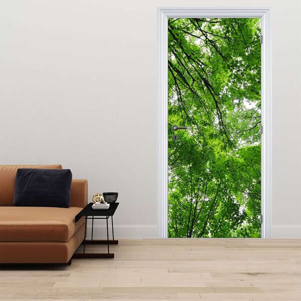 Fototapeta na dveře - Pohled do korun stromů (95x205cm)