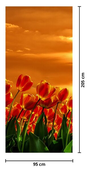 Fototapeta na dveře - Rozkvetlý lán s tulipány (95x205cm)