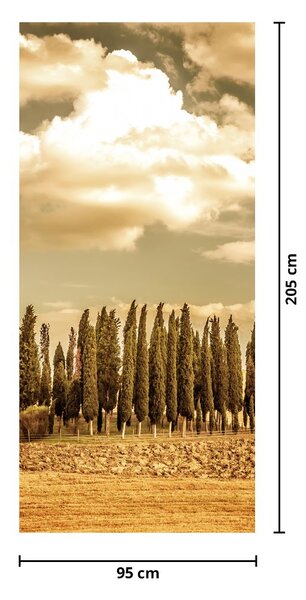 Fototapeta na dveře - Palouček (95x205cm)