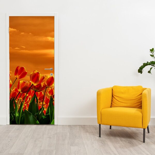 Fototapeta na dveře - Rozkvetlý lán s tulipány (95x205cm)