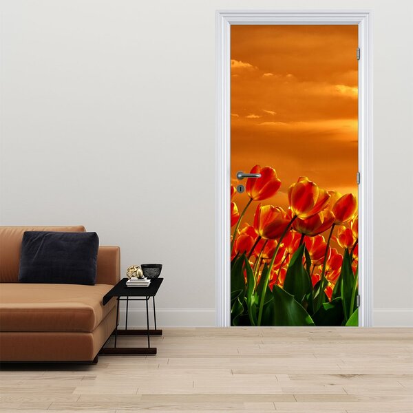 Fototapeta na dveře - Rozkvetlý lán s tulipány (95x205cm)