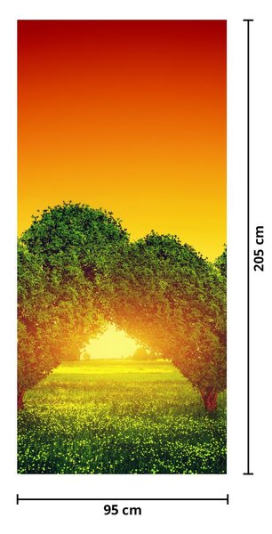 Fototapeta na dveře - Srdce v korunách stromů (95x205cm)