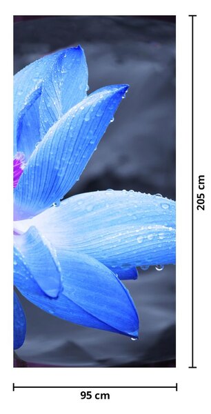 Fototapeta na dveře - Květ v detailu (95x205cm)