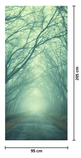 Fototapeta na dveře - Cesta z alejí stromů (95x205cm)
