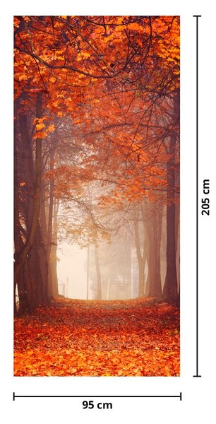 Fototapeta na dveře - Podzimní les (95x205cm)