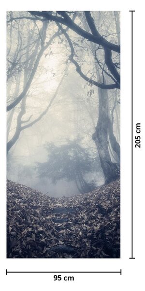 Fototapeta na dveře - Les v mlze (95x205cm)