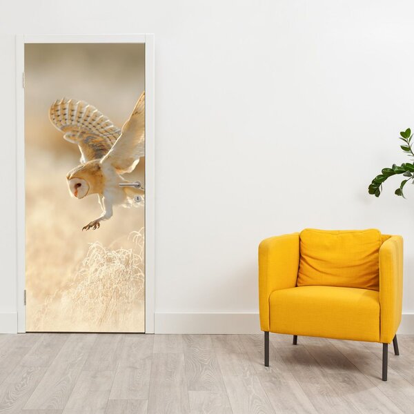 Fototapeta na dveře - Sova pálená (95x205cm)