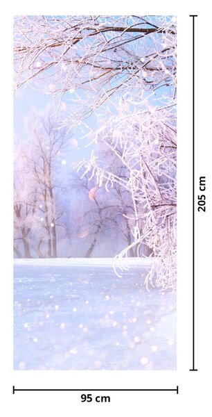 Fototapeta na dveře - Mrazivá zima (95x205cm)