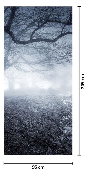 Fototapeta na dveře - Cesta v mlze (95x205cm)
