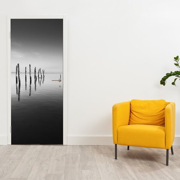 Fototapeta na dveře - Černobílá vodní hladina (95x205cm)