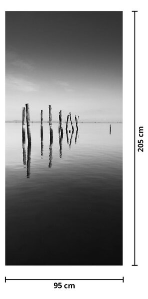 Fototapeta na dveře - Černobílá vodní hladina (95x205cm)