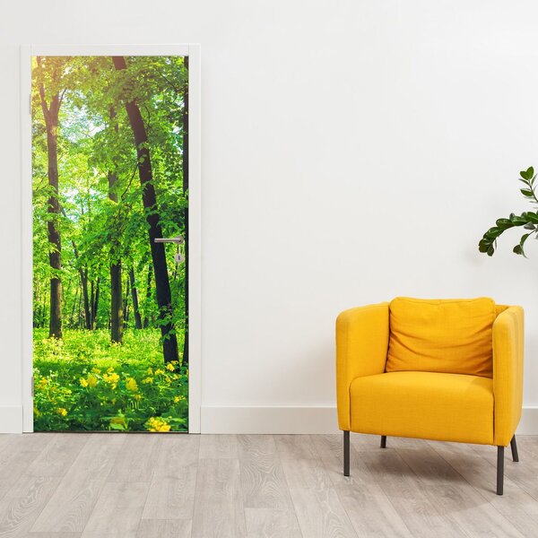 Fototapeta na dveře - Jarní listnatý les (95x205cm)