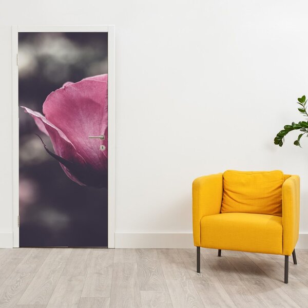 Fototapeta na dveře - Detail květu růže (95x205cm)