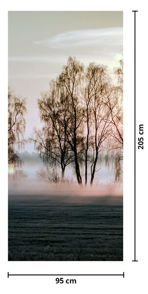 Fototapeta na dveře - Ranní sychravost (95x205cm)