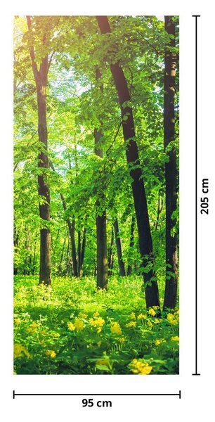 Fototapeta na dveře - Jarní listnatý les (95x205cm)