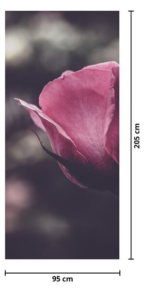Fototapeta na dveře - Detail květu růže (95x205cm)