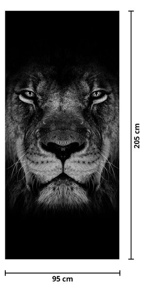 Fototapeta na dveře - Lev a jeho majestátnost (95x205cm)