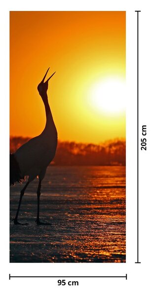 Fototapeta na dveře - Ptáci při západu slunce (95x205cm)