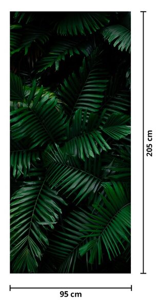 Fototapeta na dveře - Tropické kapradí (95x205cm)