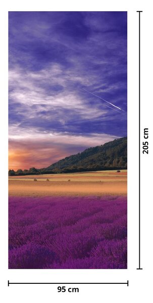 Fototapeta na dveře - Levandulová louka (95x205cm)