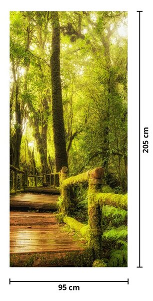 Fototapeta na dveře - Mechová džungle (95x205cm)