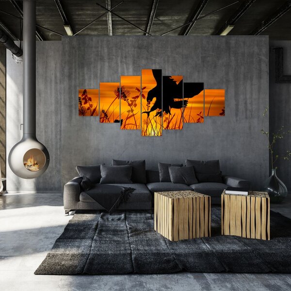 Obraz siluety dravce (210x100 cm)