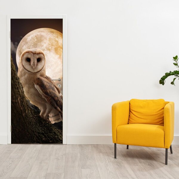 Fototapeta na dveře - Sova pálená (95x205cm)