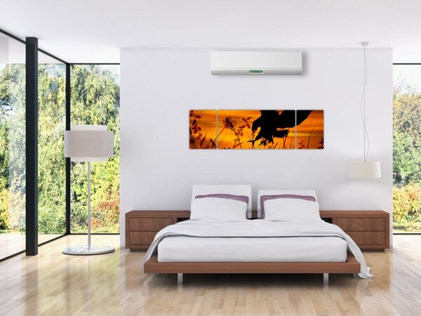 Obraz siluety dravce (170x50 cm)