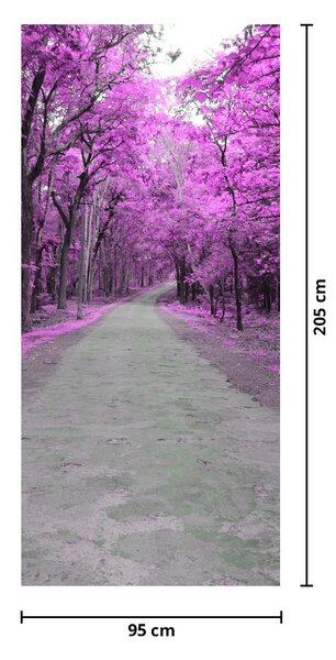 Fototapeta na dveře - Cesta parkem (95x205cm)