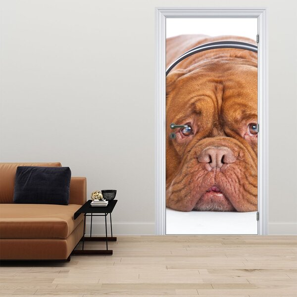 Fototapeta na dveře - Pes se sluchátky (95x205cm)