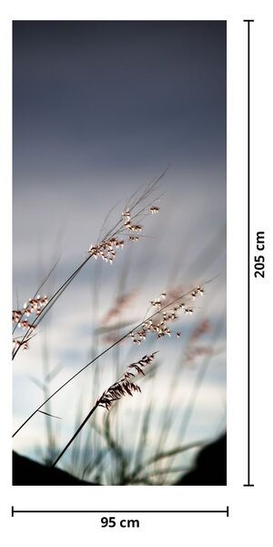 Fototapeta na dveře - Luční kvítí u jezera (95x205cm)