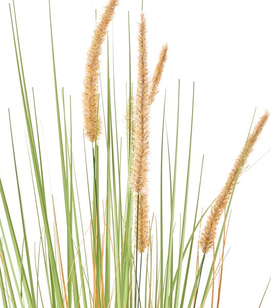 Umělá rostlina BRISTLEGRASS 90 cm Zelená