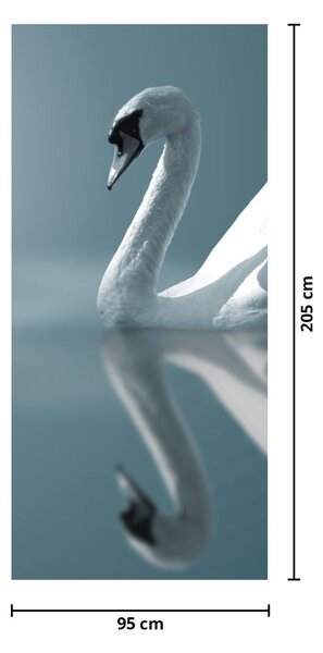 Fototapeta na dveře - Bílá labuť (95x205cm)