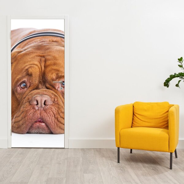 Fototapeta na dveře - Pes se sluchátky (95x205cm)