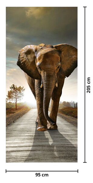 Fototapeta na dveře - Slon (95x205cm)