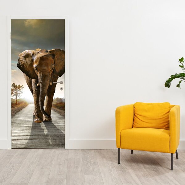 Fototapeta na dveře - Slon (95x205cm)