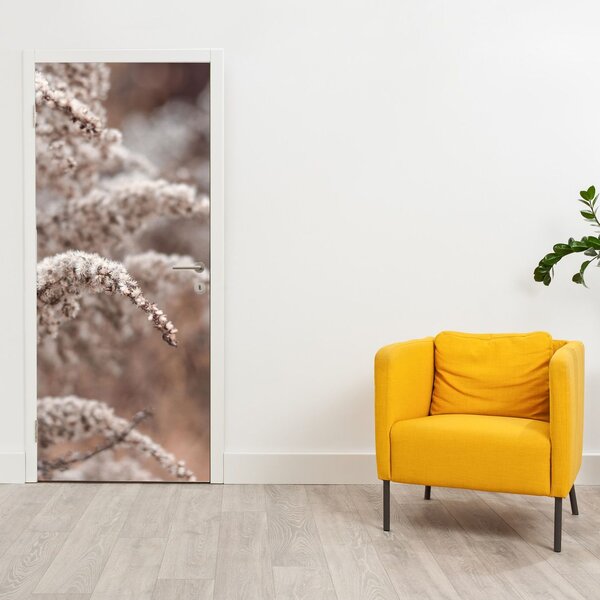 Fototapeta na dveře - Rostliny (95x205cm)