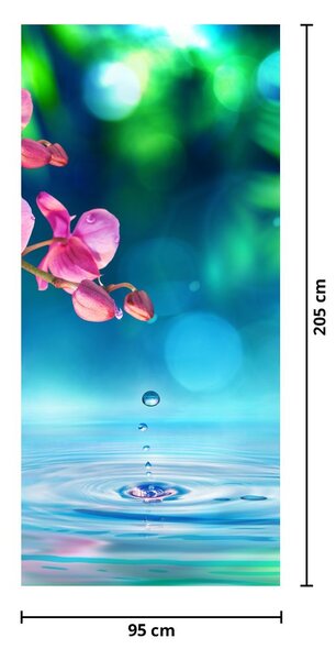 Fototapeta na dveře - Orchidej (95x205cm)