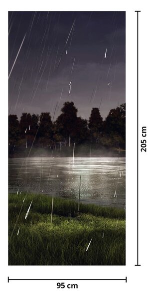 Fototapeta na dveře - Deštivý večer (95x205cm)