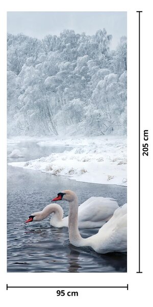 Fototapeta na dveře - Labutě (95x205cm)