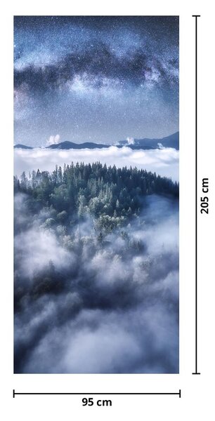 Fototapeta na dveře - Les v mlze (95x205cm)