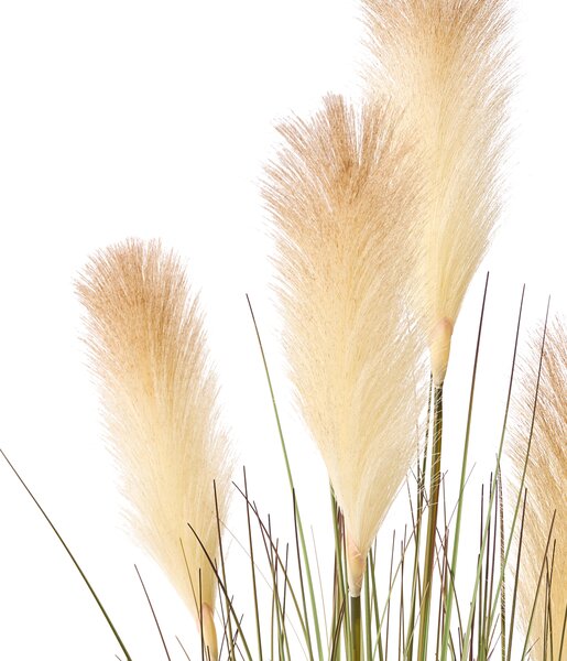 Umělá rostlina CORTADERIA GRASS 120 cm Zelená
