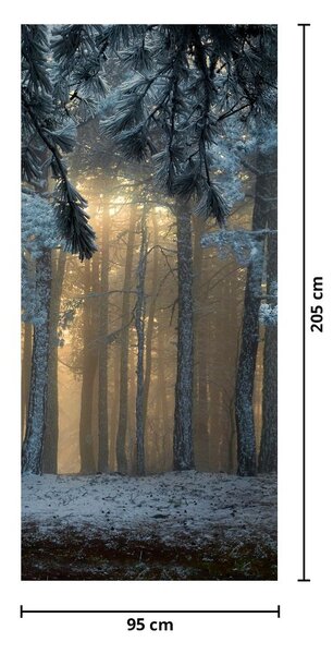 Fototapeta na dveře - Zasněžený les (95x205cm)