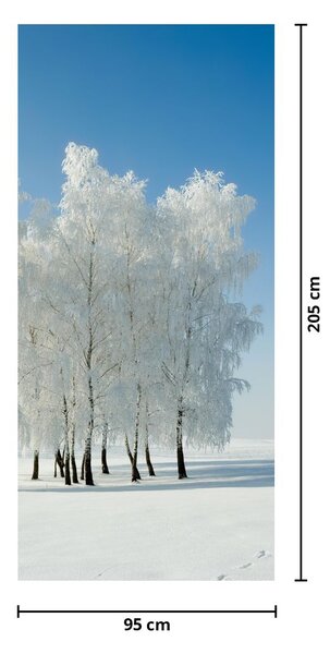 Fototapeta na dveře - Zasněžená krajina (95x205cm)