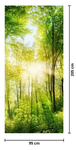 Fototapeta na dveře - Svítání v lese (95x205cm)
